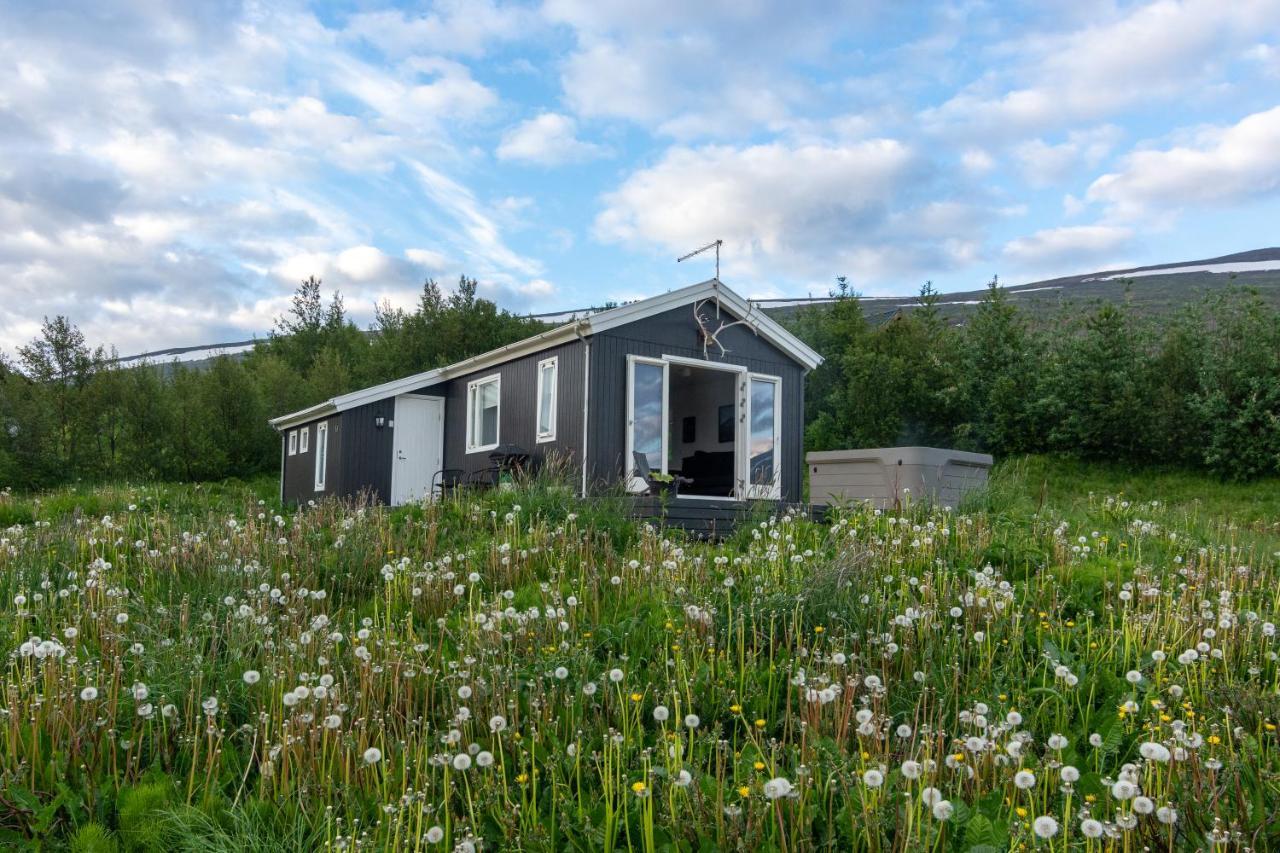 Viking Cottages & Apartments Акурейри Екстериор снимка